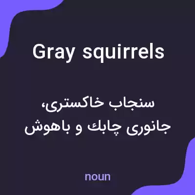 معنی gray squirrels به فارسی معنی gray squirrels به فارسی