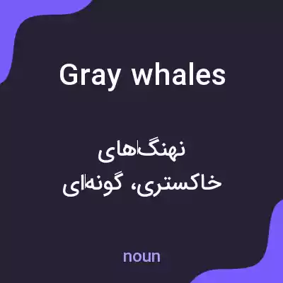 معنی gray whales به فارسی معنی gray whales به فارسی