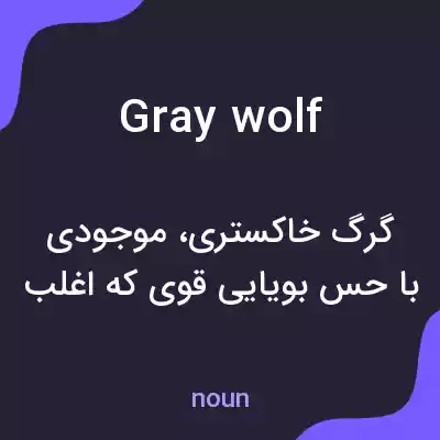 معنی gray wolf به فارسی معنی gray wolf به فارسی