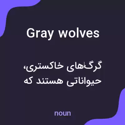 معنی gray wolves به فارسی معنی gray wolves به فارسی