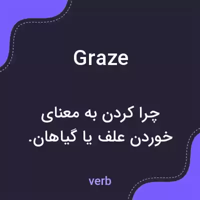 معنی graze به فارسی معنی graze به فارسی