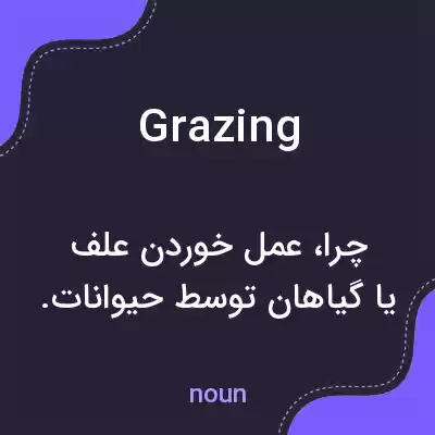 معنی grazing به فارسی معنی grazing به فارسی