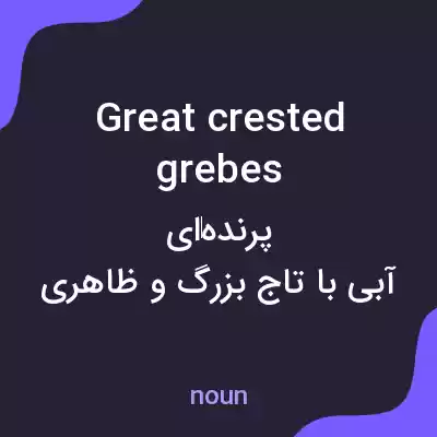 معنی great crested grebes به فارسی معنی great crested grebes به فارسی