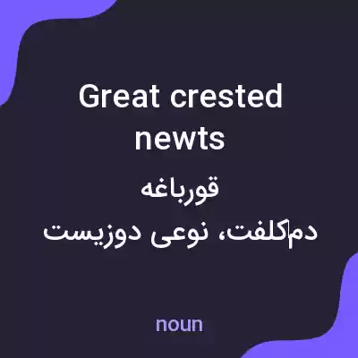معنی great crested newts به فارسی معنی great crested newts به فارسی