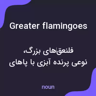 معنی greater flamingoes به فارسی معنی greater flamingoes به فارسی