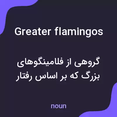 معنی greater flamingos به فارسی معنی greater flamingos به فارسی