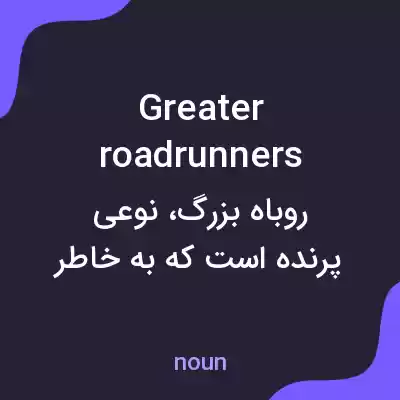 معنی greater roadrunners به فارسی معنی greater roadrunners به فارسی