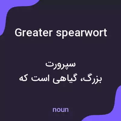 معنی greater spearwort به فارسی معنی greater spearwort به فارسی