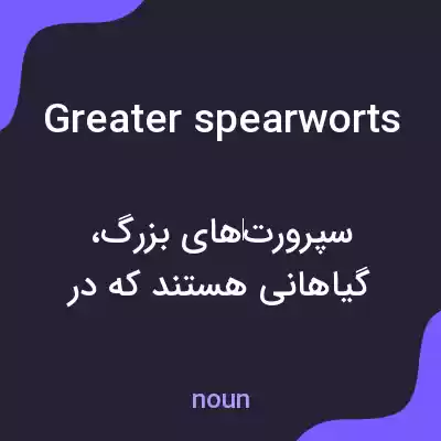معنی greater spearworts به فارسی معنی greater spearworts به فارسی