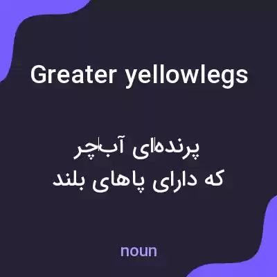 معنی greater yellowlegs به فارسی معنی greater yellowlegs به فارسی
