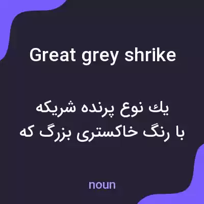 معنی great grey shrike به فارسی