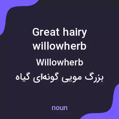 معنی great hairy willowherb به فارسی معنی great hairy willowherb به فارسی