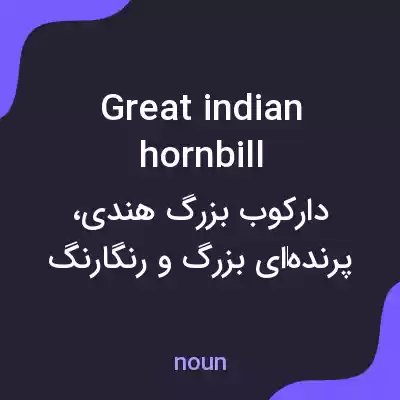 معنی great indian hornbill به فارسی معنی great indian hornbill به فارسی