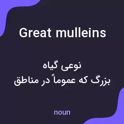 معنی great mulleins به فارسی معنی great mulleins به فارسی
