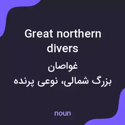 معنی great northern divers به فارسی معنی great northern divers به فارسی