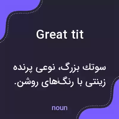 معنی great tit به فارسی معنی great tit به فارسی