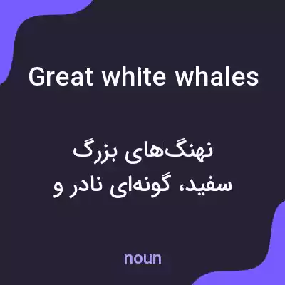 معنی great white whales به فارسی معنی great white whales به فارسی