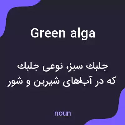 معنی green alga به فارسی