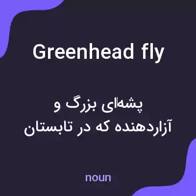 معنی greenhead fly به فارسی معنی greenhead fly به فارسی