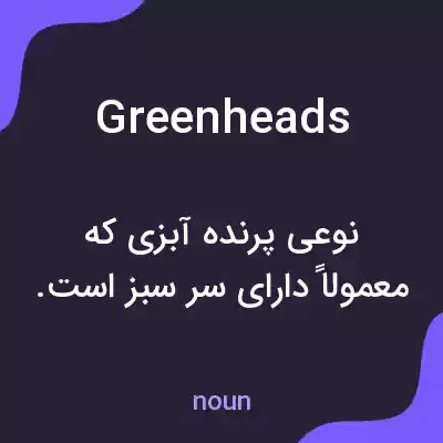 معنی greenheads به فارسی معنی greenheads به فارسی