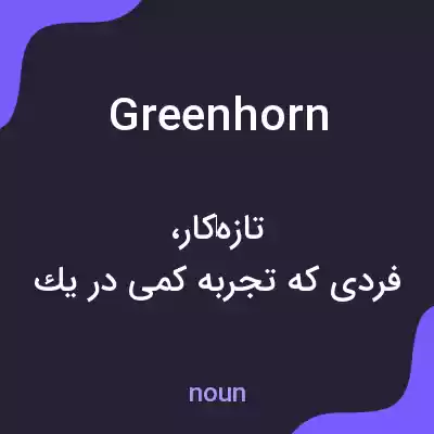 معنی greenhorn به فارسی معنی greenhorn به فارسی