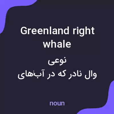 معنی greenland right whale به فارسی معنی greenland right whale به فارسی