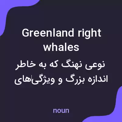 معنی greenland right whales به فارسی معنی greenland right whales به فارسی