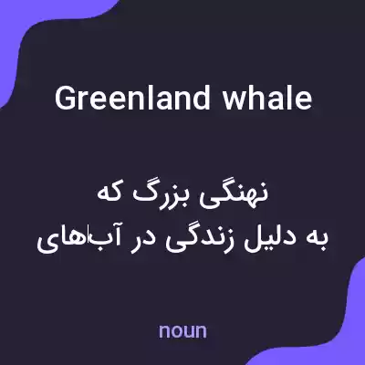 معنی greenland whale به فارسی معنی greenland whale به فارسی