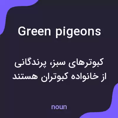 معنی green pigeons به فارسی معنی green pigeons به فارسی