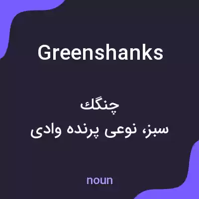 معنی greenshanks به فارسی معنی greenshanks به فارسی