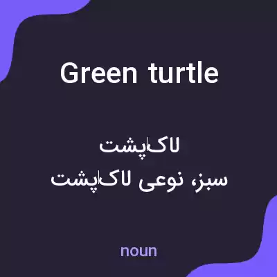 معنی green turtle به فارسی معنی green turtle به فارسی