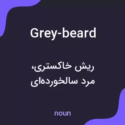 معنی grey-beard به فارسی معنی grey-beard به فارسی