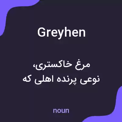 معنی greyhen به فارسی معنی greyhen به فارسی