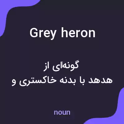 معنی grey heron به فارسی معنی grey heron به فارسی