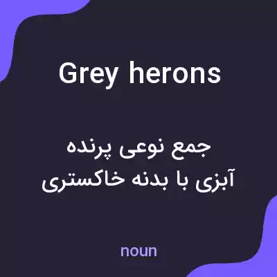 معنی grey herons به فارسی معنی grey herons به فارسی