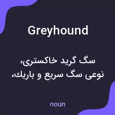 معنی greyhound به فارسی معنی greyhound به فارسی