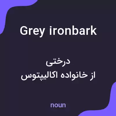 معنی grey ironbark به فارسی معنی grey ironbark به فارسی