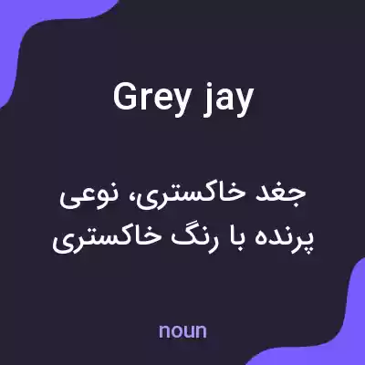 معنی grey jay به فارسی معنی grey jay به فارسی