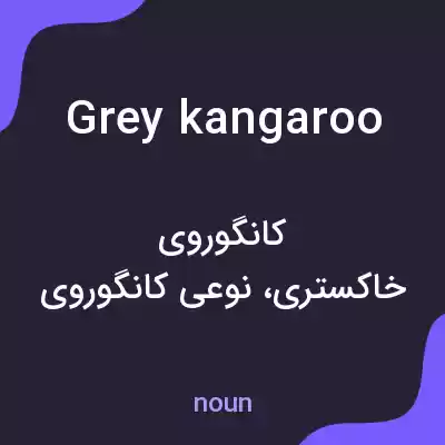 معنی grey kangaroo به فارسی معنی grey kangaroo به فارسی