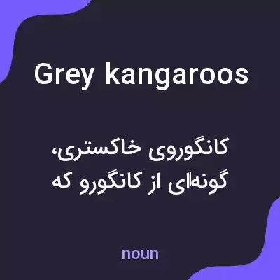 معنی grey kangaroos به فارسی معنی grey kangaroos به فارسی