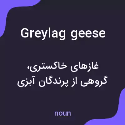 معنی greylag geese به فارسی معنی greylag geese به فارسی