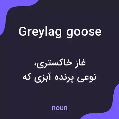 معنی greylag goose به فارسی معنی greylag goose به فارسی