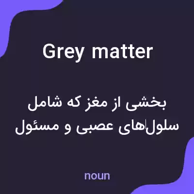 معنی grey matter به فارسی معنی grey matter به فارسی