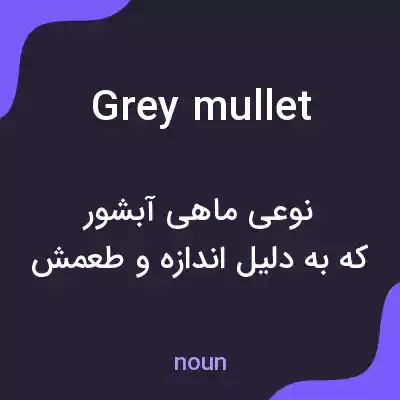 معنی grey mullet به فارسی معنی grey mullet به فارسی