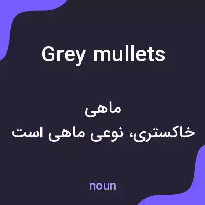 معنی grey mullets به فارسی معنی grey mullets به فارسی