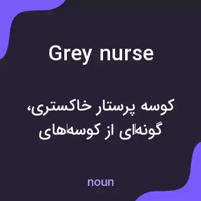معنی grey nurse به فارسی معنی grey nurse به فارسی