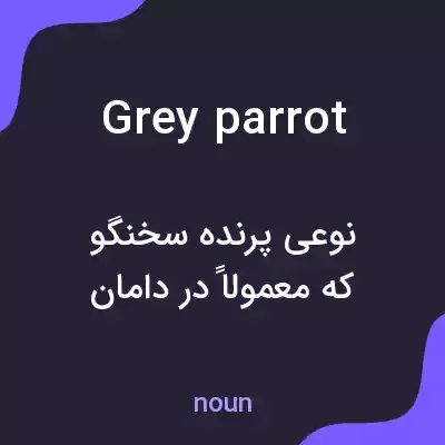 معنی grey parrot به فارسی معنی grey parrot به فارسی