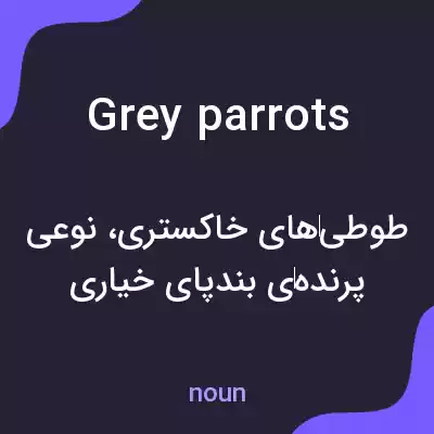 معنی grey parrots به فارسی معنی grey parrots به فارسی