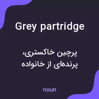 معنی grey partridge به فارسی معنی grey partridge به فارسی