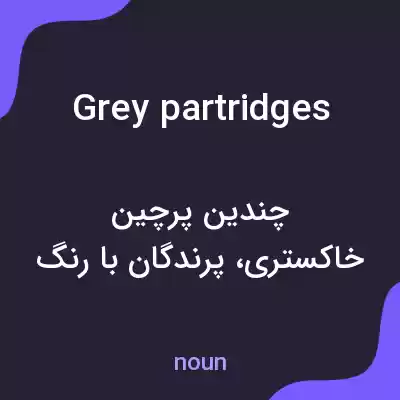 معنی grey partridges به فارسی معنی grey partridges به فارسی